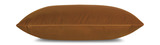 Velvet Pillow 21″ thumbnail 2