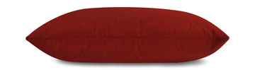 Velvet Pillow 21″