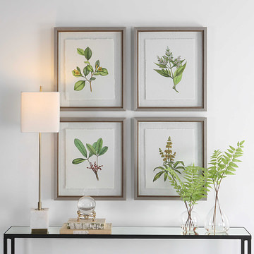 Set/4 Wildflowers Framed Prints