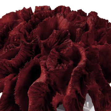 Red Coral Sculpture